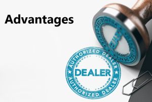 Advantages of Becoming a RetevisAccessories Dealer doloremque