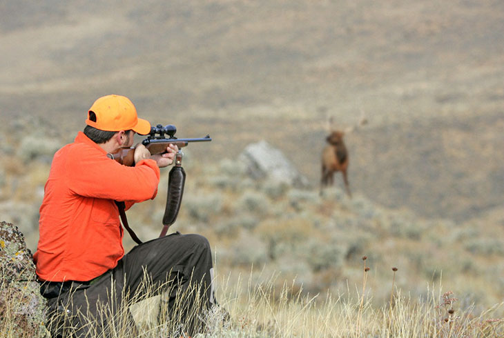Best Hearing Protection Solutions for Shooting & Hunting
